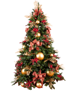 126 Christmas tree Png images