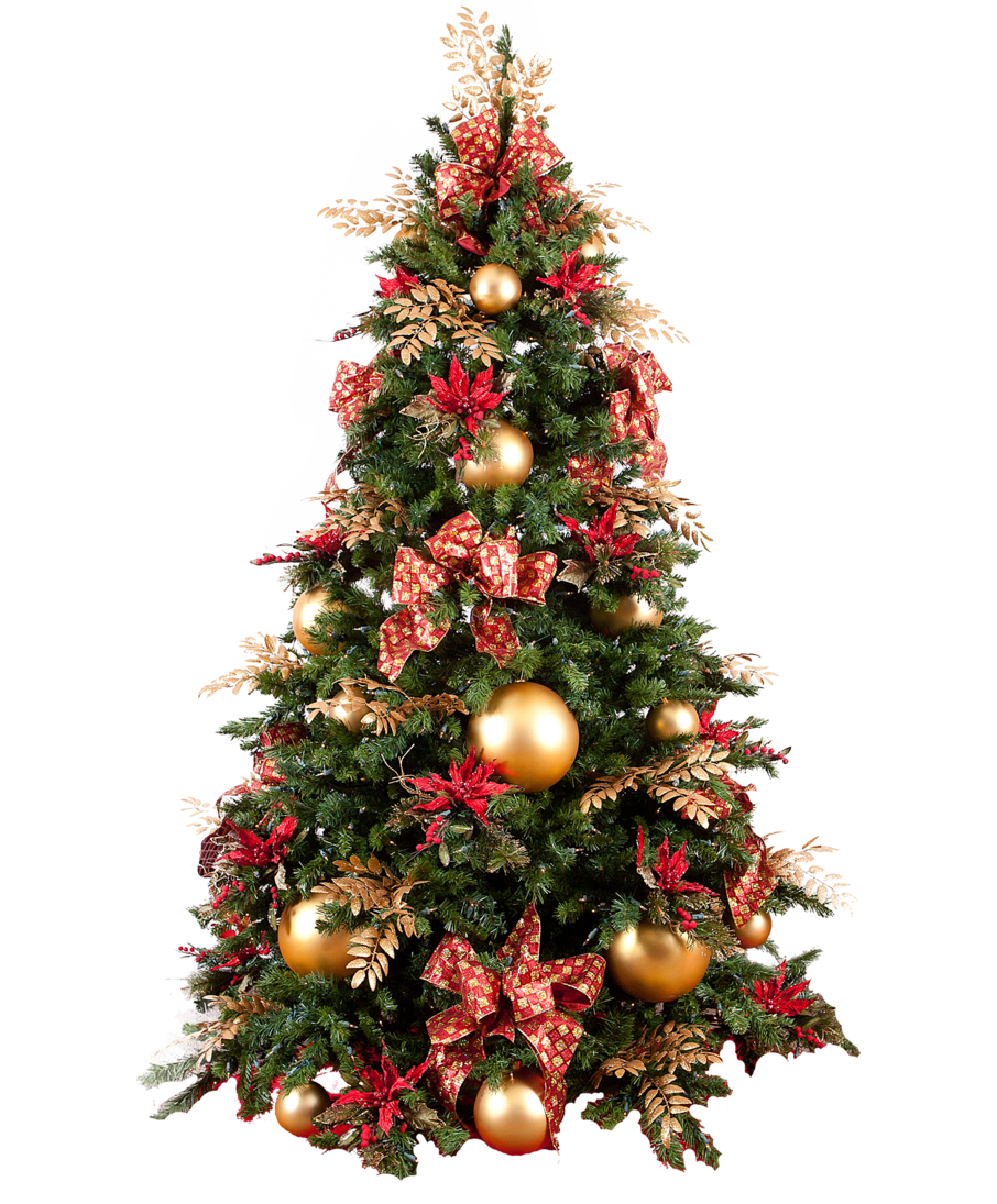 Sequence 327:126 Christmas tree Png images