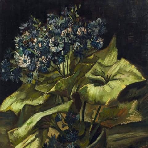 Van Gogh's Still Life Paintings 104 Paintings